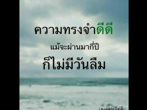 ยิ้มให้กับฝัน