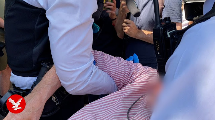 Police carry demonstrators away as 42 arrested at protest in support of banned Palestine Action