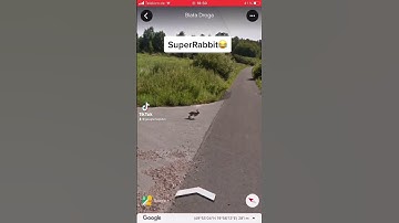 Super Rabbit on Google Map 😳 #shorts