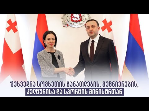 შეხვედრა სომხეთის განათლების, მეცნიერების, კულტურისა და სპორტის მინისტრთან