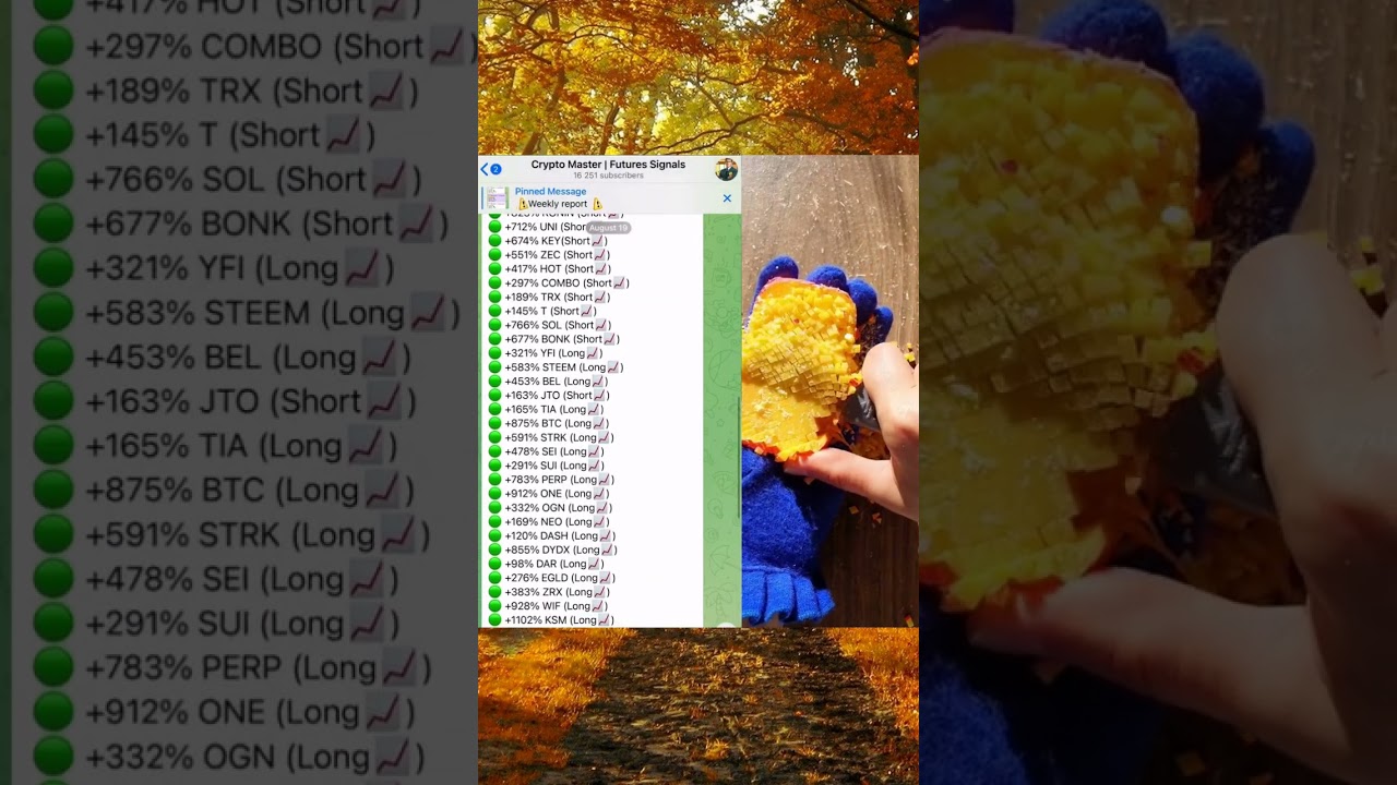 Crypto Master's Risk Mitigation 