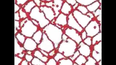 PLoS Comp for YouTube