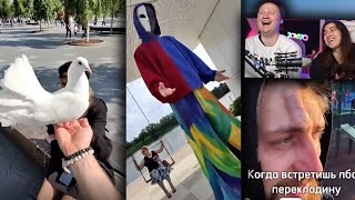 видео: РЕАКЦИЯ на Тик Ток и Ютуб Шортс #38 Санечка вайн картинка: РЕАКЦИЯ на Тик Ток и Ютуб Шортс #38 Санечка вайн