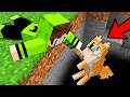 A TRISTE HISTÓRIA do CACHORRO ABANDONADO no Minecraft!