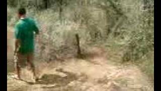 =ISO-8859-1QDown_more= (MOV02838.3GP) for April 19, 2007, 09:30 PM