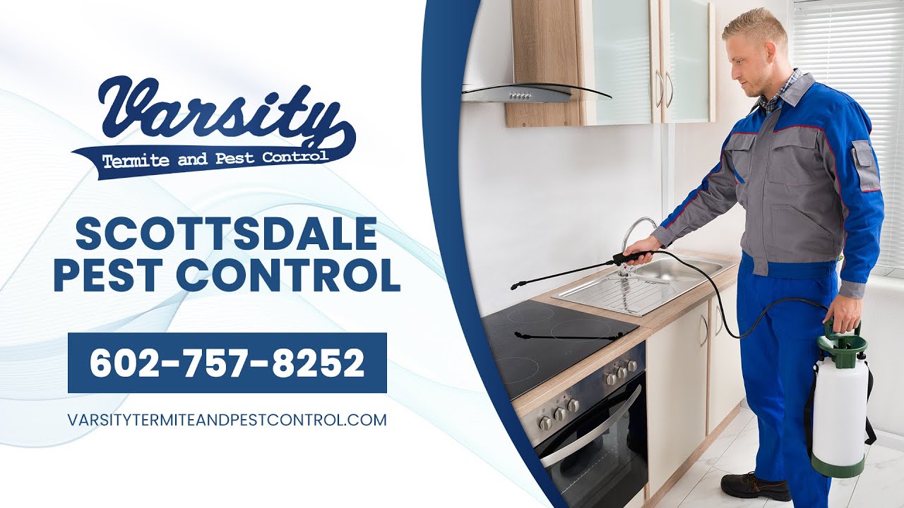 Scottsdale Pest Control | Varsity Termite & Pest Control