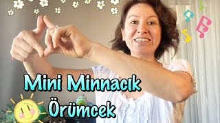 Mini Minnacık Örümcek Çocuk Şarkısı - Incy wincy spider Resimi