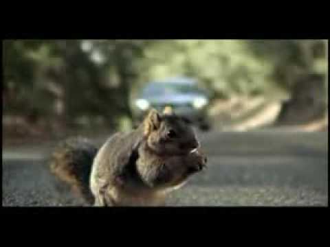 Screaming Squirrel Superbowl Bridgestone Commercial