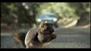Screaming Squirrel Superbowl Bridgestone Commercial