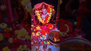 #reels #maa #meladisarkar #video #shortvideo #shorts #india
