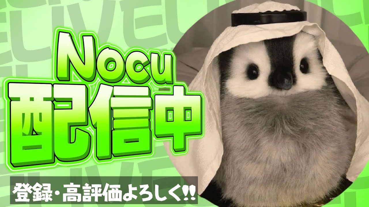 毎日配信274日目 team練習会 [フォートナイトFortnite]