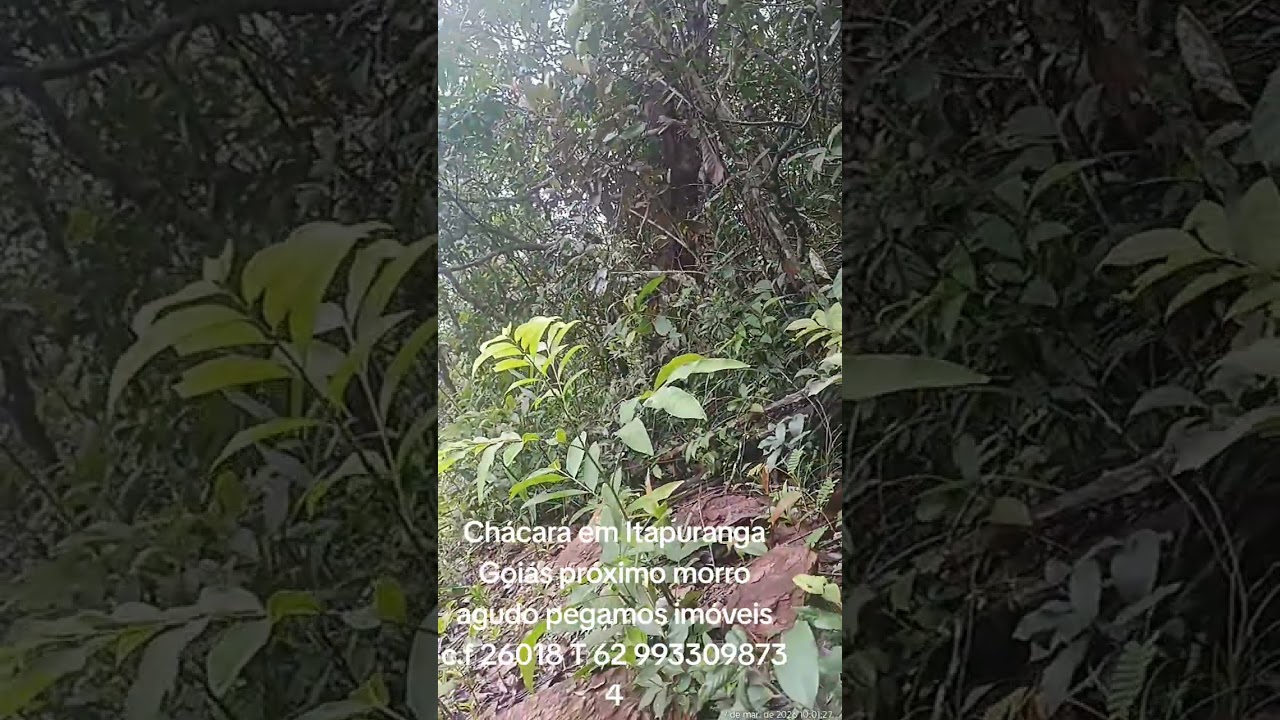 Chácara em Itapuranga  pegamos 