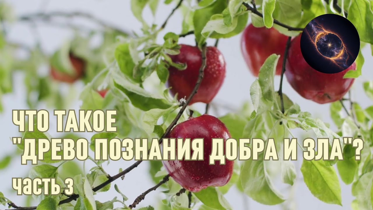 Что такое \"Древо познания Добра и Зла\"? Часть 3 - YouTube