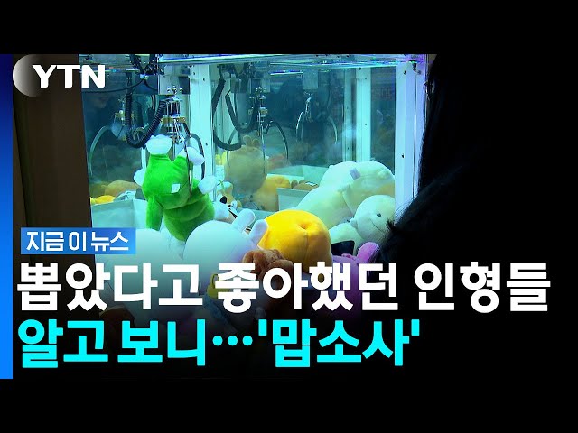 인기 폭발 중인 인형뽑기방…60%가 '충격적 진실' [지금이뉴스] / YTN