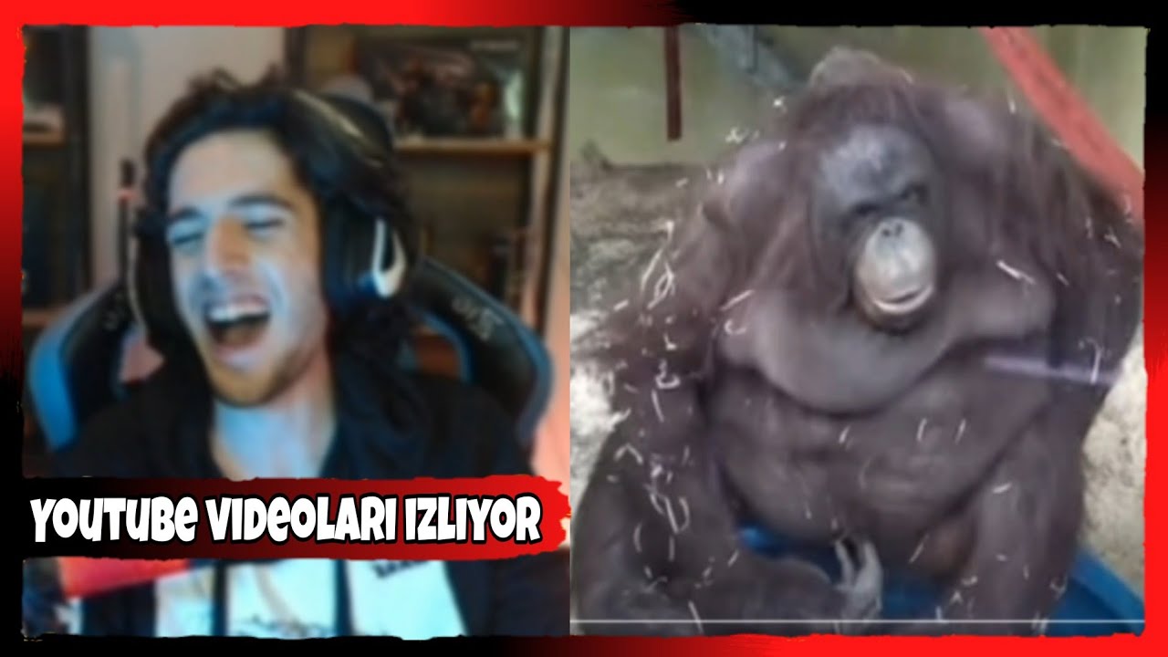 Zade Youtube Videoları İzliyor /4