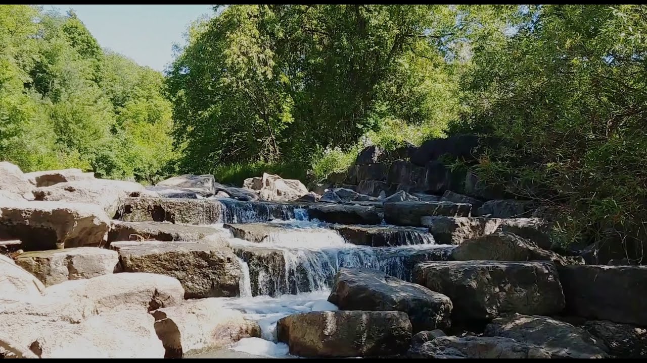 Morningside Park Summer 2020 Review