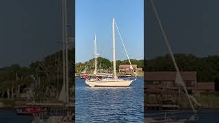 #short Sailboat stuck in the mud during low tide #shorts