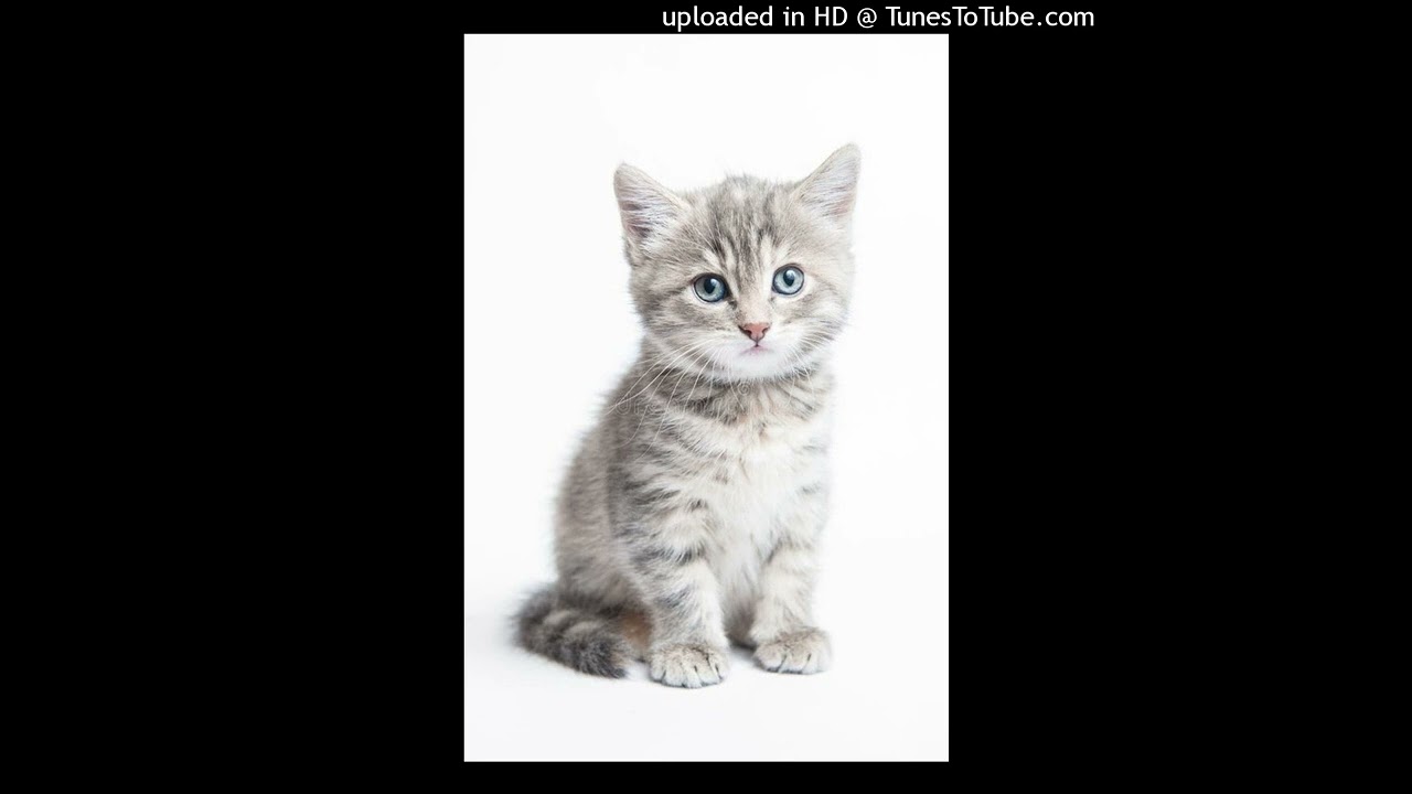 Will-o-The-Wisp (Demo)