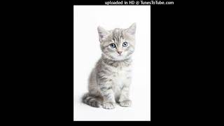 Will-O-The-Wisp Demo