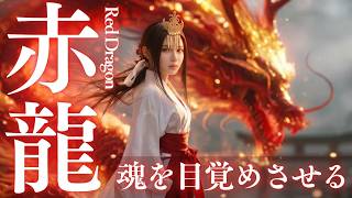 赤龍の音霊】魂を燃やし運気を高める神聖な波動｜CRIMSON DRAGONが導く