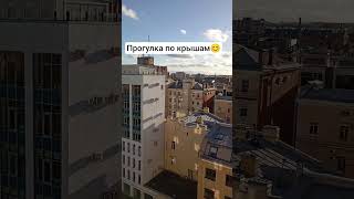 #это Питер, детка#крыши