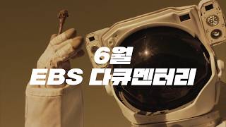 [EBS] 2026년 6월 다큐멘터리 프로그램 안내 | SB