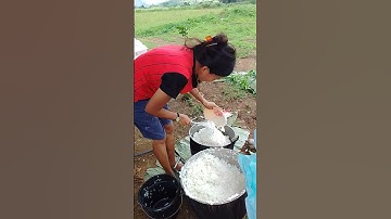 #rice #transfer #ivydumpasan #video #youtube #youtubevideos #viralshort #viralvideo #yummyfood #yt