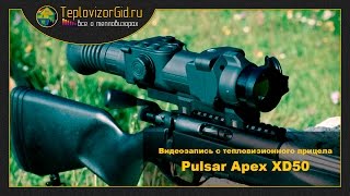 Тепловизионный прицел PULSAR APEX XD50