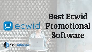 Best Ecwid Promotional Software