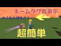 マイクラ ネームタグ非表示コマンド設定 超簡単 マイクラ ネームタグ非表示コマンド設定 超簡単
