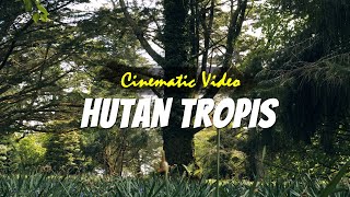video cinematic hutan no copyright