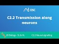 C2.2 Transmission Along Neurons [IB Biology SL/HL]