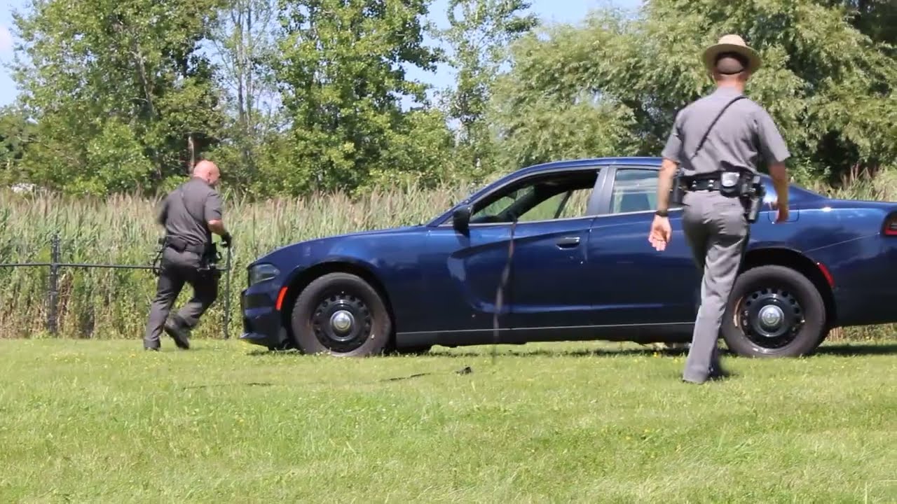 New York State Police K9 Takedown in-vehicle demo