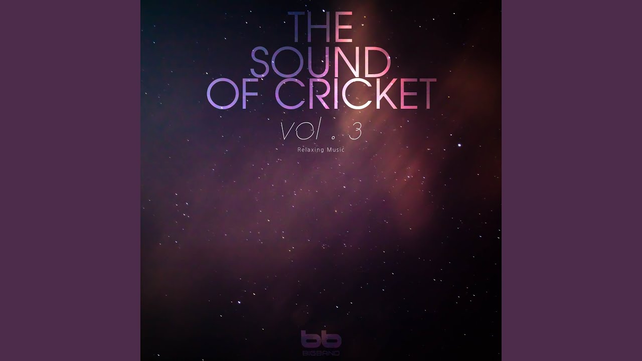 YouTube에서 제주도 애월읍 수풀속의 밤 귀뚜라미 소리 보기