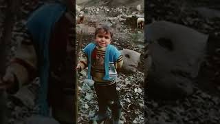 Dağ Başında Soğuk Varmış Resimi