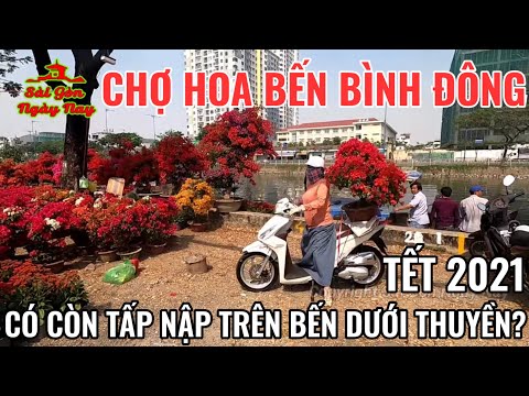 Chợ HOA TẾT 2021 BẾN BÌNH ĐÔNG Q8 | Chợ trái cây sỉ Q6 | Rực rỡ sắc màu phố Hải Thượng Lãn Ông Q5