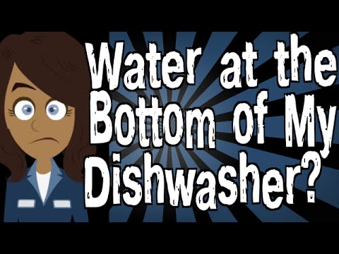 water in bottom of dishwasher