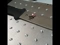 Fiber Laser Marking Machine Mark on Knife
