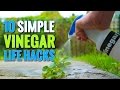 10 Simple Vinegar Life Hacks To Try At Home