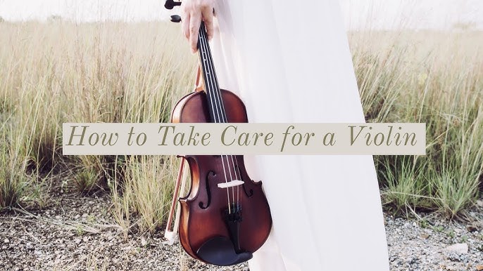 How to Best Violin Case? Different Reviews -