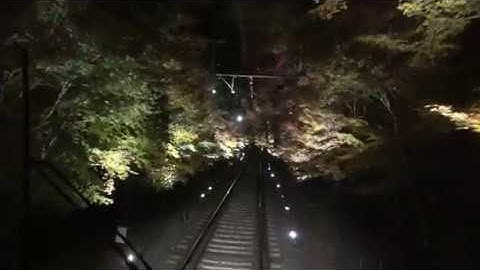 【4K】2017　叡山電車　もみじのトンネル　Maple Tunnel