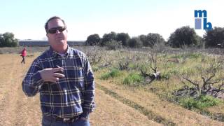Matt Cline of Three Wine Company