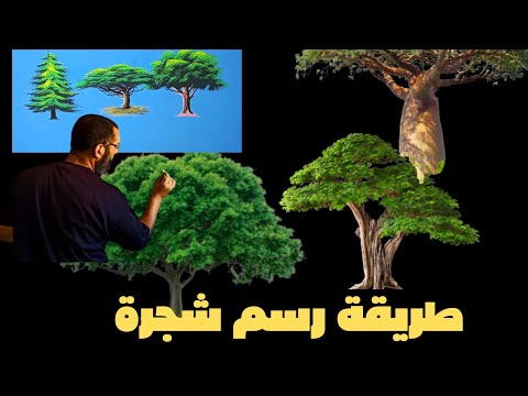 فيديو: كيفية رسم رأس الإنسان: 13 خطوة (بالصور)