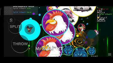 Blob io marco Mr Ali good game pro server 