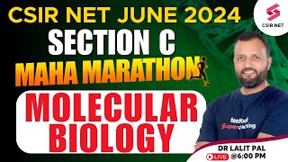 CSIR NET 2024 Preparation | Life Science Section C| Molecular Biology Mega Marathon | Dr Lalit Pal