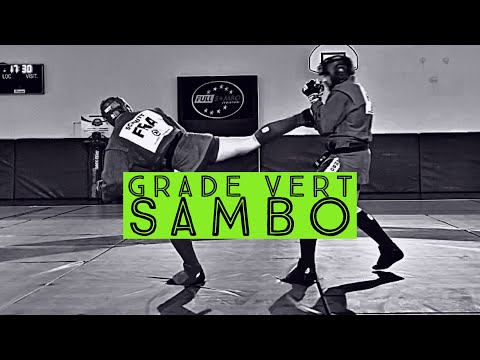 Vidéo: Comment Attacher Une Ceinture De Sambo
