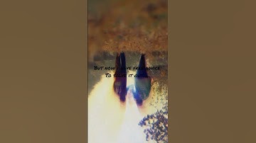 better solution for my problem.....          #solution #shorts #problems #advice