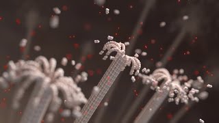 3D Medical Animation Reel 2020 | AXS Studio
