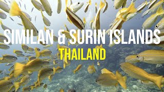 Similan & Surin Islands - Thailand Liveaboard Diving [Sony FX3]