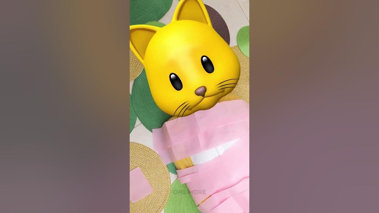 Is It Ok To Leave Your Cat Home Alone For A Week Is It Ok To Leave Your Cat Home Alone For A Week